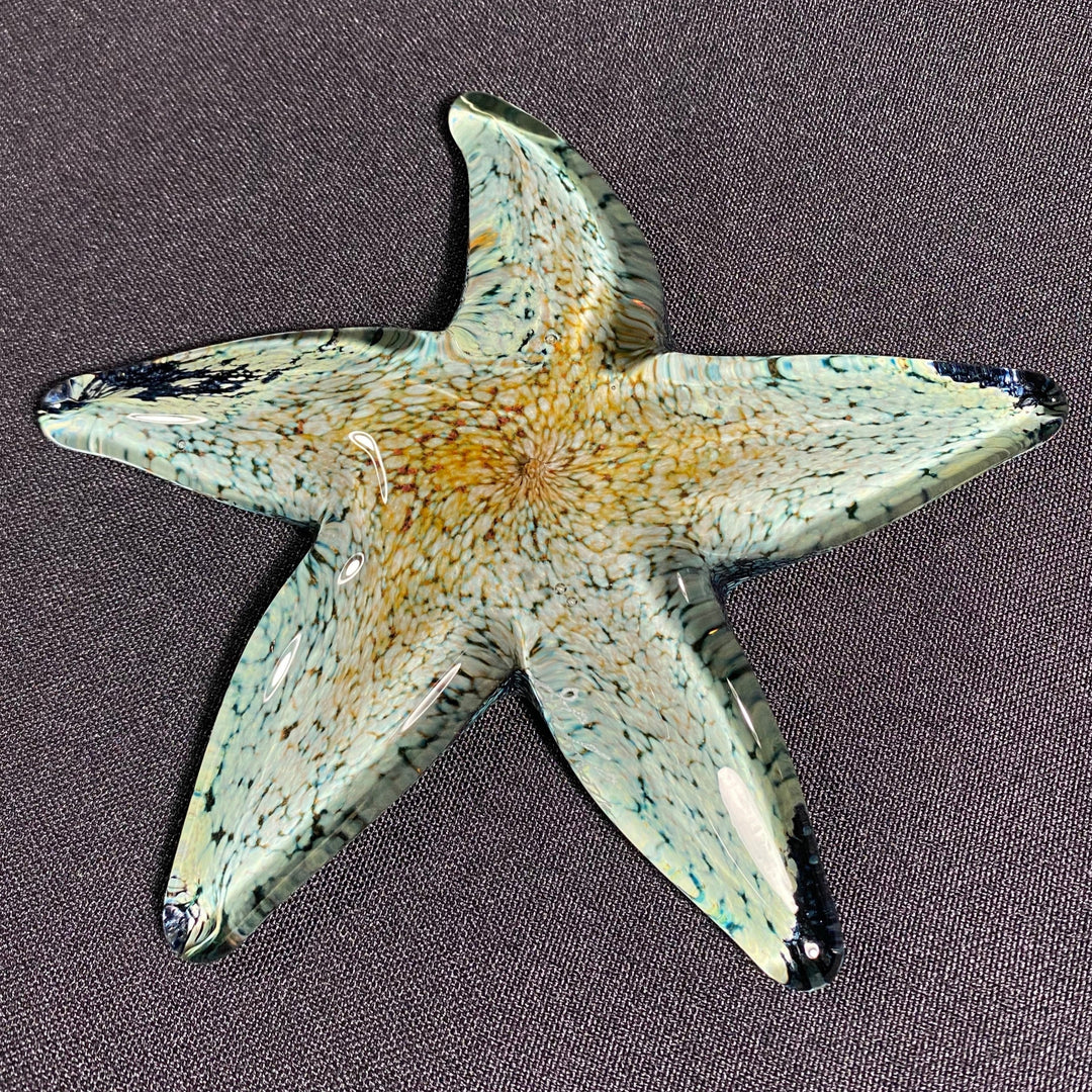 Starfish art glass good sculptor grey